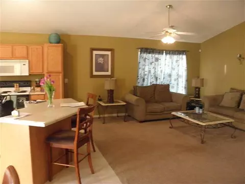 244 Spring St, Duncan, SC 29334 photo 9