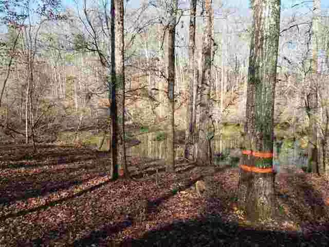 13032 Mohawk Path #TOKEENA SHORES, Seneca, SC 29678 photo 15