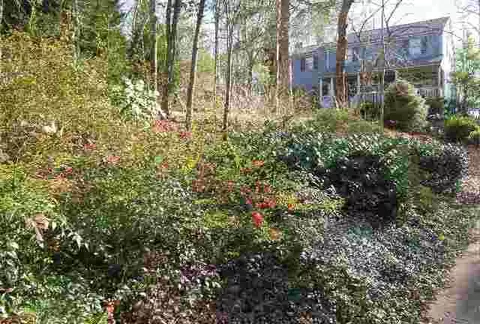 210 Cedar Dale Dr, Central, SC 29630 photo 11
