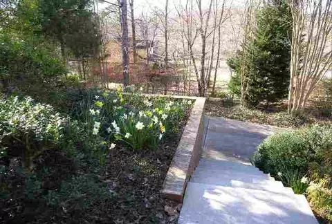 210 Cedar Dale Dr, Central, SC 29630 photo 5