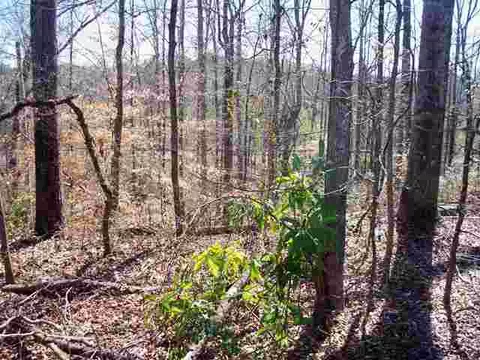109 Westminster Dr, Pendleton, SC 29670 photo 2