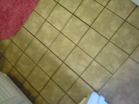 2113 Old Pendleton Rd, Easley, SC 29642 photo 7