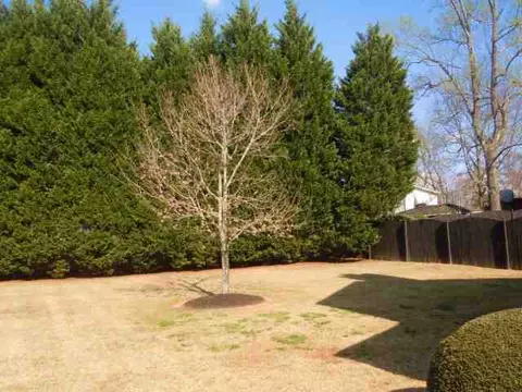 2113 Old Pendleton Rd, Easley, SC 29642 photo 19