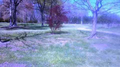 220 Store Rd, Easley, SC 29640 photo 23