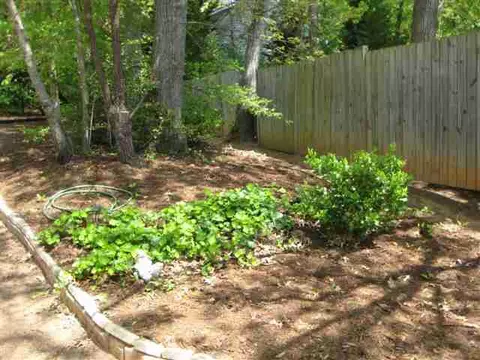 102 Dewberry Ct, Easley, SC 29642 photo 23