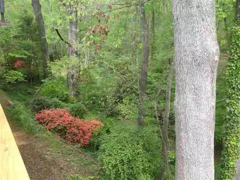 347 Kendra, Clemson, SC 29631 photo 6