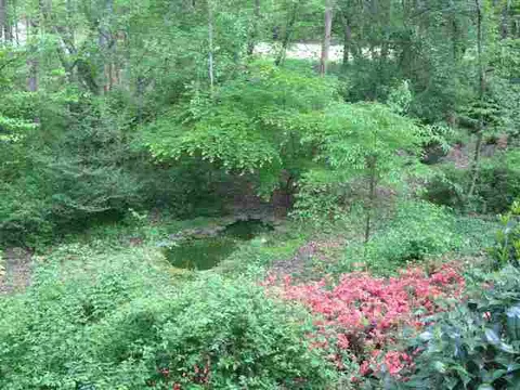 347 Kendra, Clemson, SC 29631 photo 3