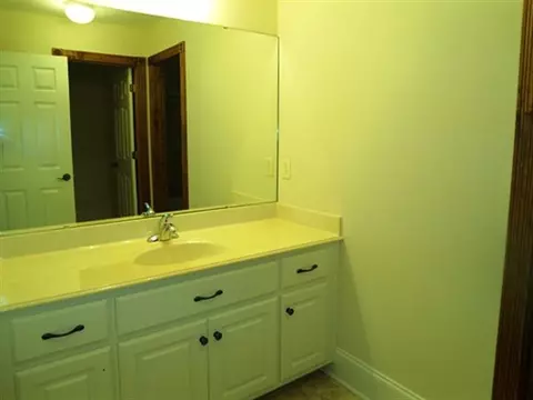 421 Pace Valley Rd, Easley, SC 29640 photo 18