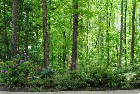 177 Tabor St, Clemson, SC 29631 photo 21
