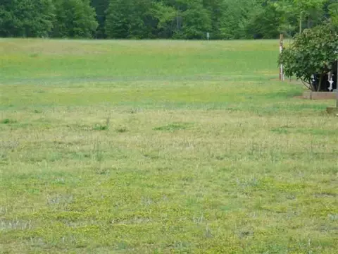 630 Abercrombie Rd, Honea Path, SC 29654 photo 19