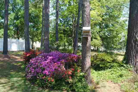 200 Monaco Cir, Clemson, SC 29631 photo 20