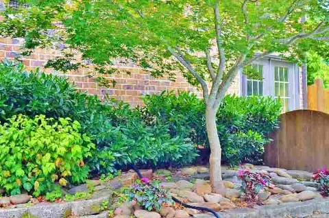 512 Echo Cir, Easley, SC 29642 photo 24