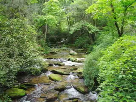 125 Laurel Valley Rd, Sunset, SC 29685 photo 6