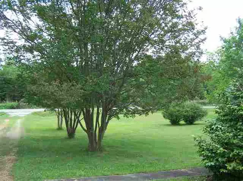 345 Thomas Mill Rd, Easley, SC 29640 photo 8