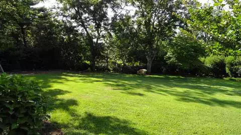 1207 Hanover Rd, Anderson, SC 29621 photo 22