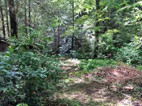 211 Rocky Bottom Rd, Sunset, SC 29685 photo 6