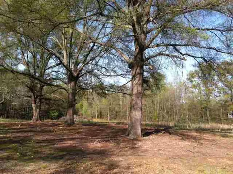1108 Easley Hwy #SC HWY 8, Pelzer, SC 29669