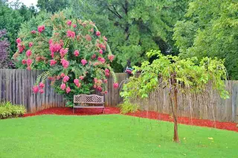 300 Herringbone Run, Easley, SC 29642 photo 21