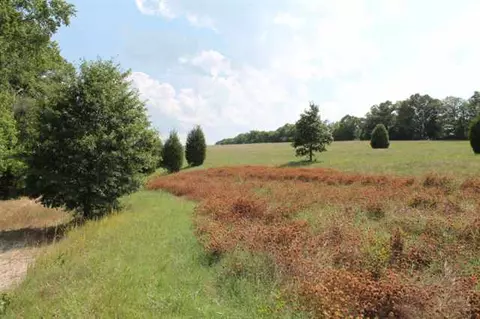 183 Cleveland Rd, Honea Path, SC 29654 photo 8