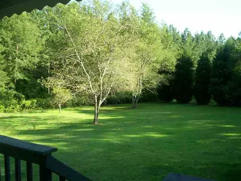 6 Bowhunter Ln, Pelzer, SC 29669 photo 9