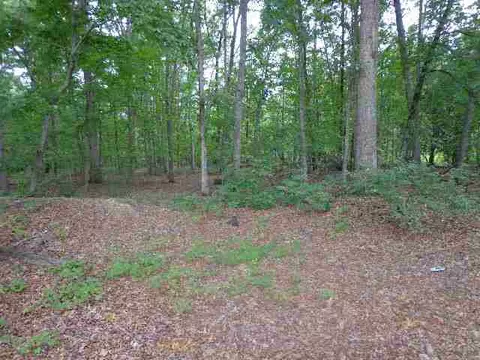 321 Mitchell Rd, Williamston, SC 29697 photo 25