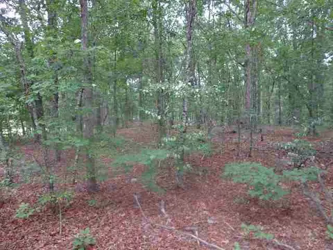 321 Mitchell Rd, Williamston, SC 29697 photo 24
