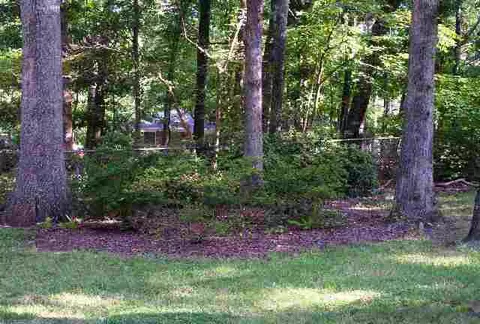 205 Heather Dr, Central, SC 29630 photo 25