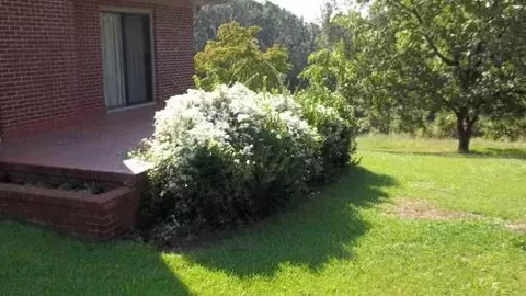 215 Suttles Rd, Westminster, SC 29693 photo 14