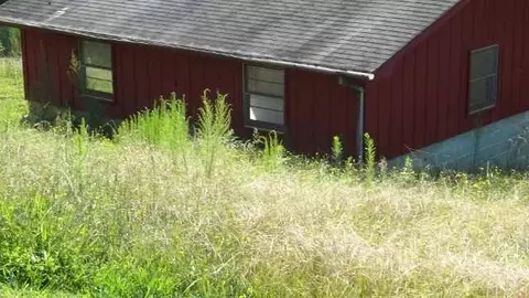 215 Suttles Rd, Westminster, SC 29693 photo 3