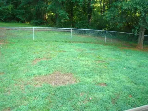 366 White Oak Rd, Central, SC 29630 photo 14
