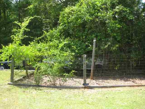 118 Beaver Trl, Lowndesville, SC 29659 photo 23