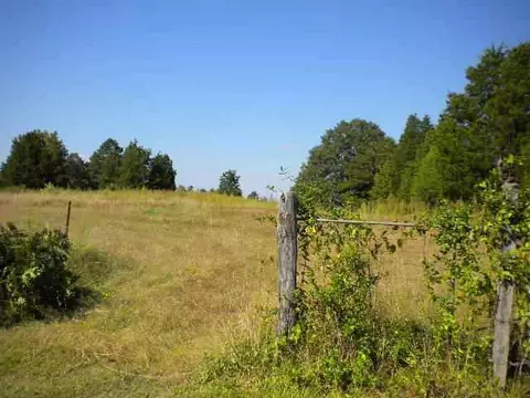 365 Mccullough School Rd, Honea Path, SC 29654 photo 11