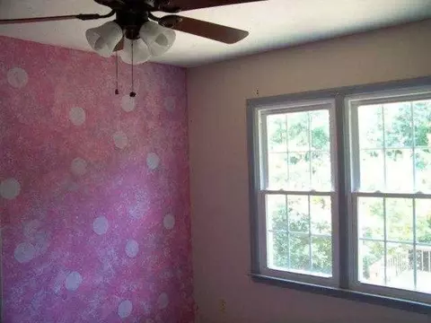223 Shemaiah Rd, Central, SC 29630 photo 7