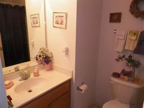 215 Spring Crossing Cir, Greer, SC 29650 photo 11