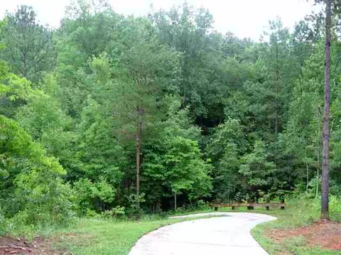 104 Baltusrol Ct #THE RESERVE AT LAKE KEOWE, Sunset, SC 29685 photo 22