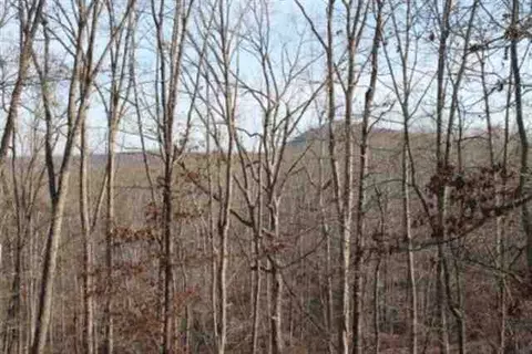 136 Pine Hill Dr, Pickens, SC 29671 photo 18