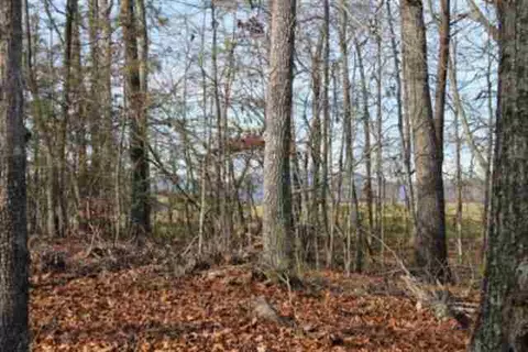 136 Pine Hill Dr, Pickens, SC 29671 photo 20