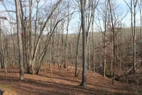 136 Pine Hill Dr, Pickens, SC 29671 photo 21