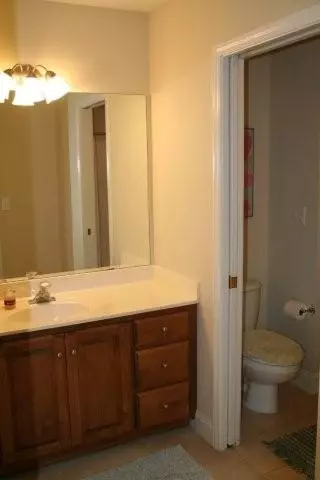 306 Red Maple Way, Clemson, SC 29631 photo 16