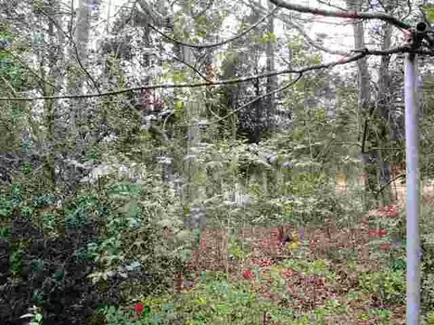 1304 E Park Ave, Anderson, SC 29624 photo 18