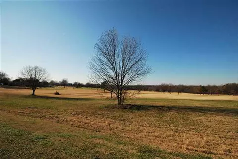 217 Sandy Run, Greer, SC 29651 photo 4