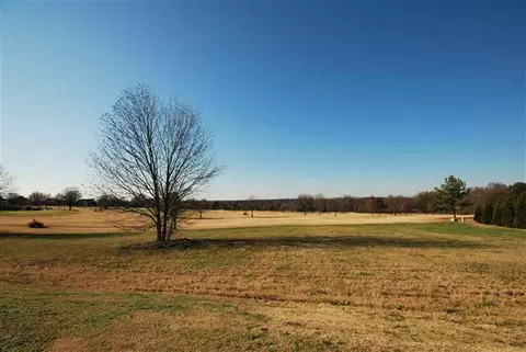 217 Sandy Run, Greer, SC 29651 photo 1