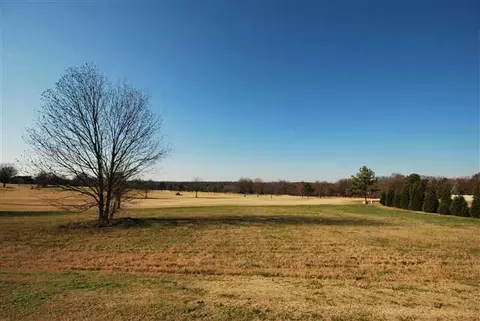 217 Sandy Run, Greer, SC 29651 photo 2