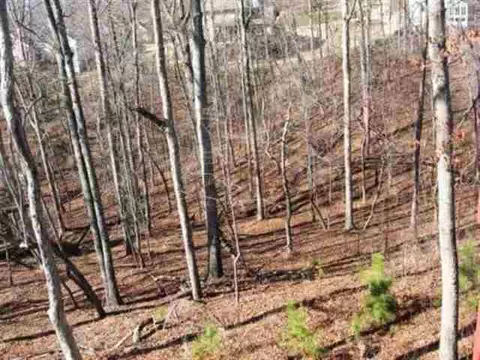106 Brookstone Way, Central, SC 29630 photo 19