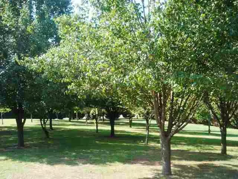 1230 Cherokee Rd, Pelzer, SC 29669 photo 5
