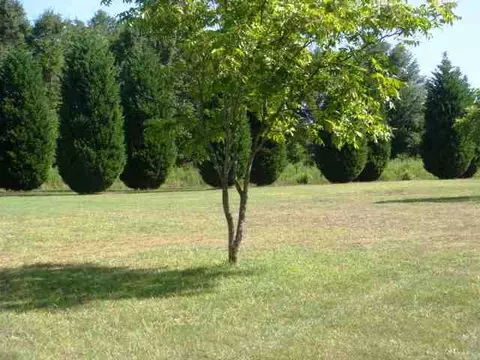 1230 Cherokee Rd, Pelzer, SC 29669 photo 25