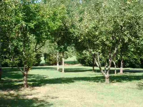 1230 Cherokee Rd, Pelzer, SC 29669 photo 8