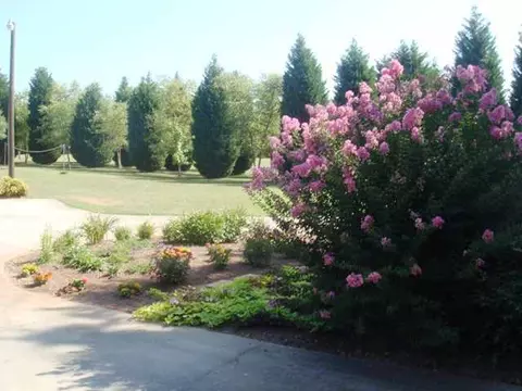 1230 Cherokee Rd, Pelzer, SC 29669 photo 21