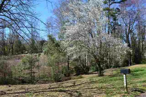 1605 Preston Dr, Anderson, SC 29621 photo 2