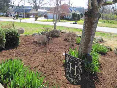 101 Mae Ave, Easley, SC 29640 photo 24